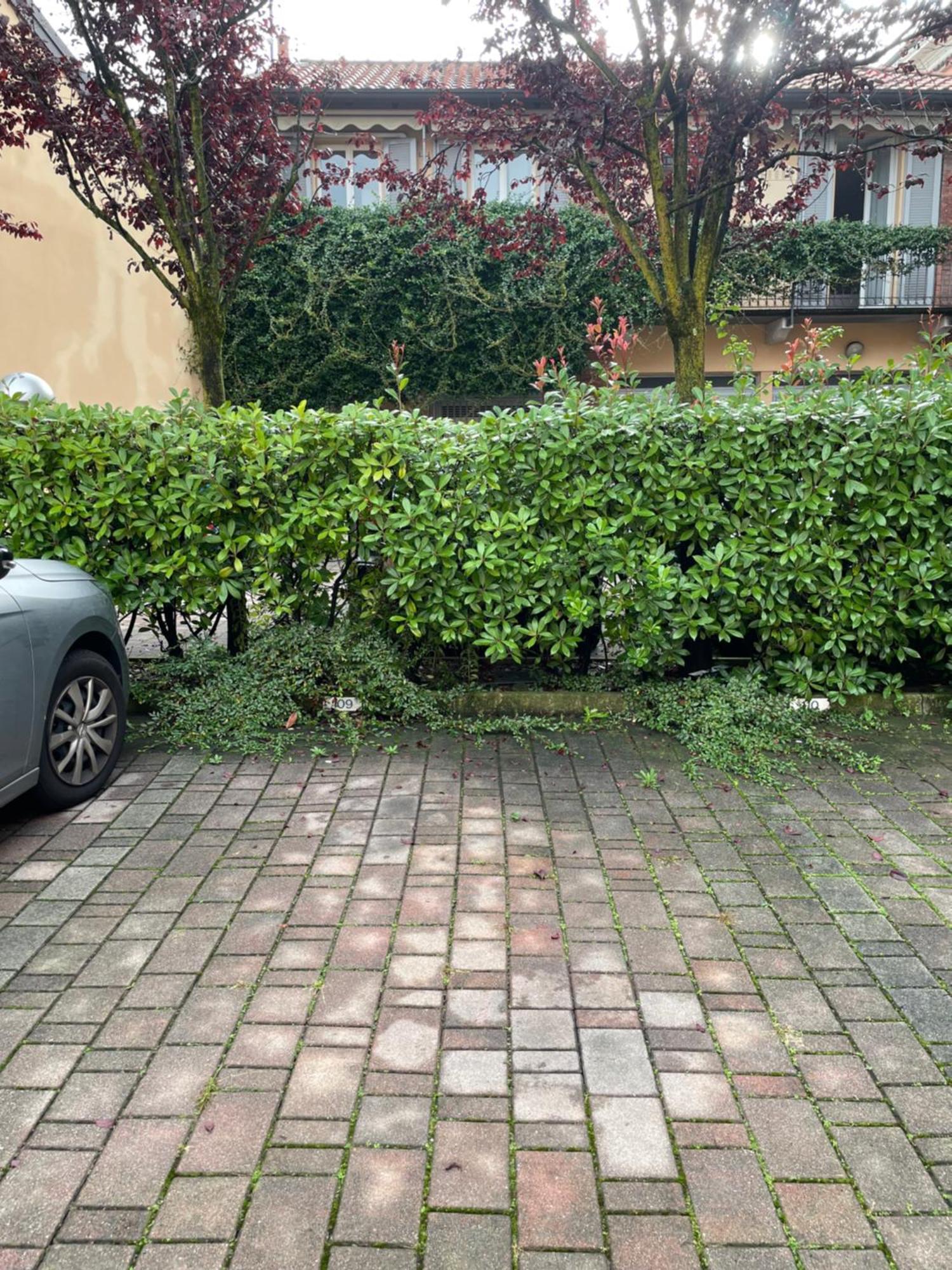Gelsomino Appartamento Con Posto Auto Nel Centro Di Monza Buitenkant foto